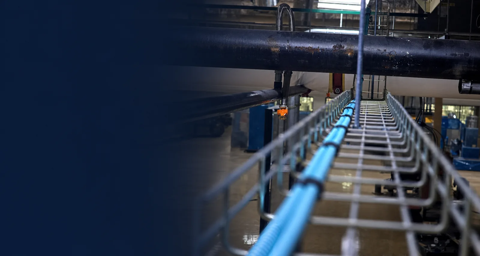 Real WiredOptics network cabling routed through an overhead wire-basket pathway in a commercial facility.